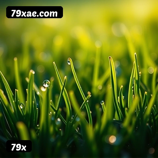 6 vantagens exclusivas do programa VIP da 79x